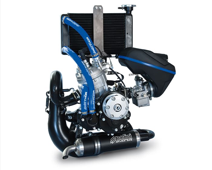 Motor Polini Thor 202
