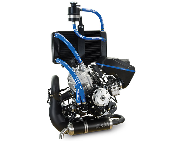 POLINI Thor 303 EVO EL- DS New 2026